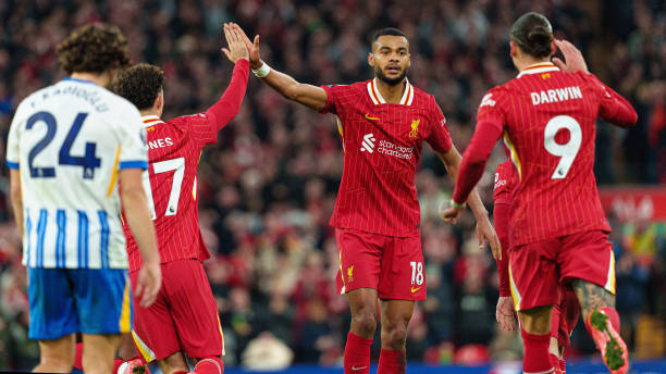 他的潜在结 他的潜在结